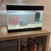Acquario 30 litri