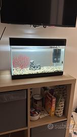 Acquario 30 litri