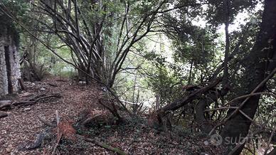 Dono gratuito terreno montano (Montelanico)