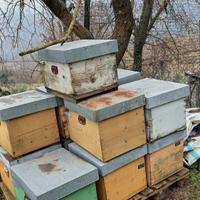 10 Arnie vuote ben conservate