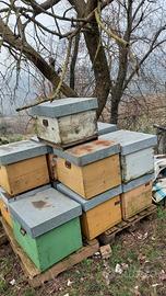 10 Arnie vuote ben conservate