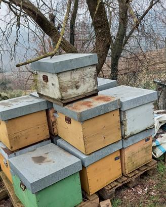 10 Arnie vuote ben conservate