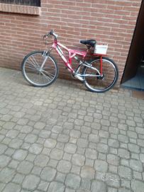 bici elettrica