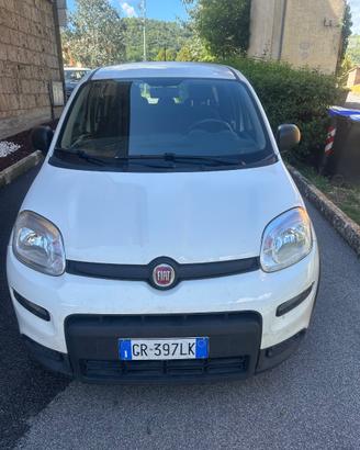 Panda