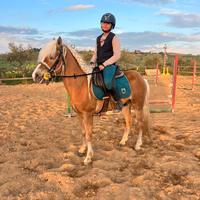 Cavallo