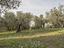 Immagine 11