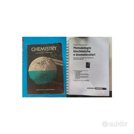 Set 2 libri universitari 