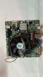 scheda madre ipxs8 dm 