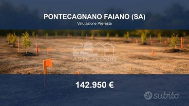 Immobile in asta di 9457 m² a Pontecagnano Faiano