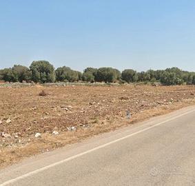 Terreno Agricolo