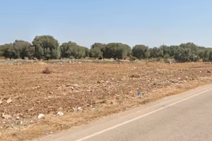 Terreno Agricolo