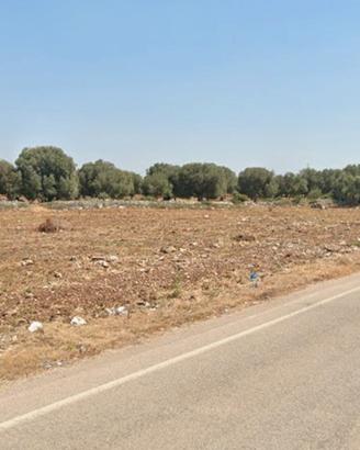 Terreno Agricolo