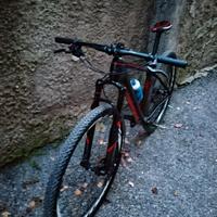 mtb bici