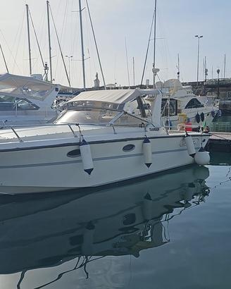 Fiart thunder  28