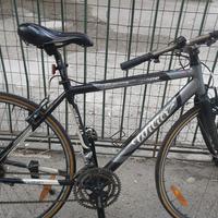 Bici uomo wilier ibrida