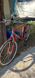 Mountain bike  marca NEVADA