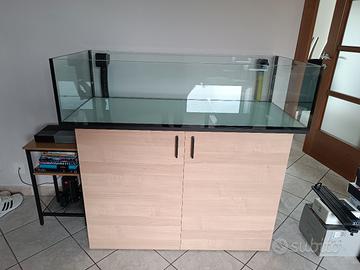 Acquario Shallow