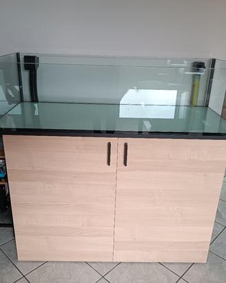 Acquario Shallow