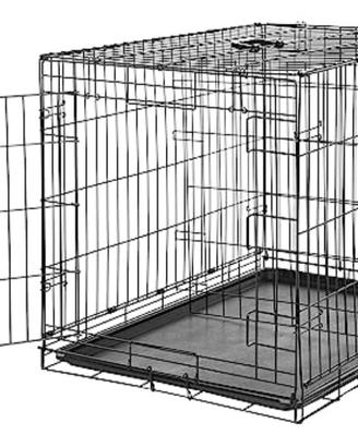 Kennel per cani