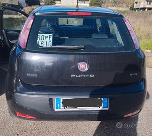 punto evo
