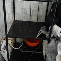 scaffale a tre ripiani