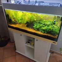 acquario ferplast Dubai 100 