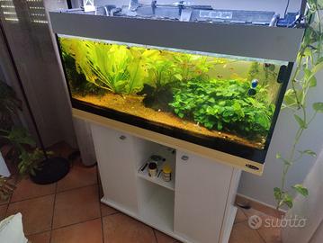 acquario ferplast Dubai 100 