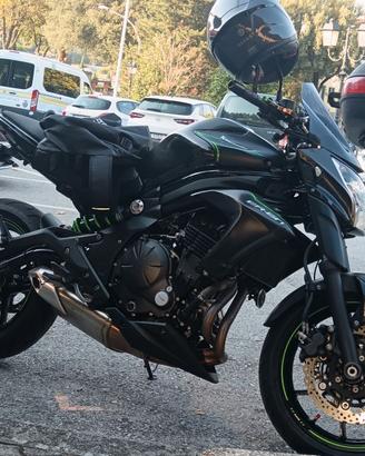 Kawasaki en6r