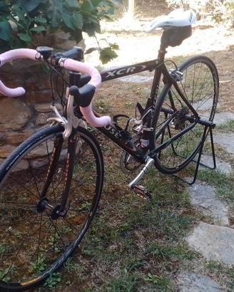 Bici da corsa carbonio  Eusebi XCR campagnolo