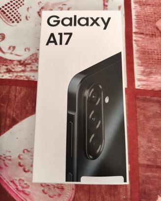Samsung Galaxy A17 
