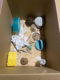 Criceto in zona lecco