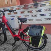 bicicletta elettrica 