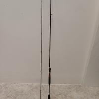 canna da pesca da spinning 