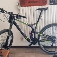 bicicletta