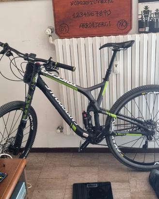 bicicletta