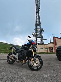 Honda hornet 