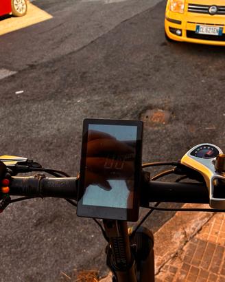 bicicletta elettrica 