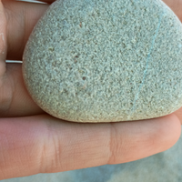 Meraviglioso sasso piatto per acquario