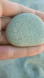 Meraviglioso sasso piatto per acquario