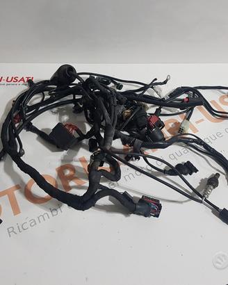 Treccia impianto elettrico Ducati hypermotard 1100