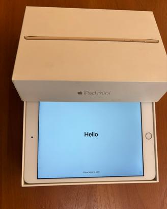 iPad mini 3