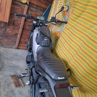 Benelli leoncino 500
