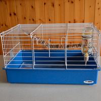 Gabbietta e accessori per roditori