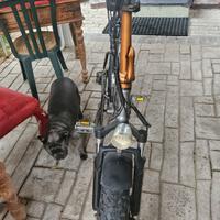 bici elettrica M1 Plus 