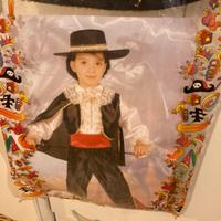 Costume carnevale Zorro bandito mascherato