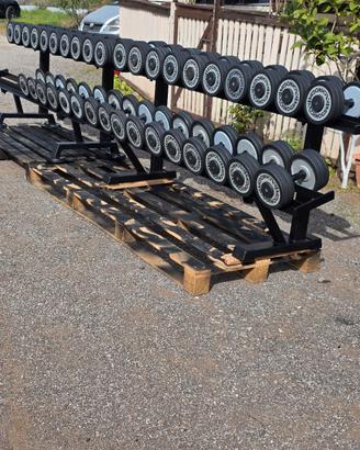 set manubri technogym palestra 