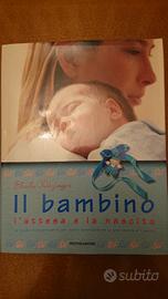 IL BAMBINO. Sheila Kitzinger