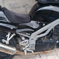 Triumph Speed triple 955i