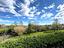 Immagine 12