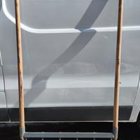 Vanga forca grelinette